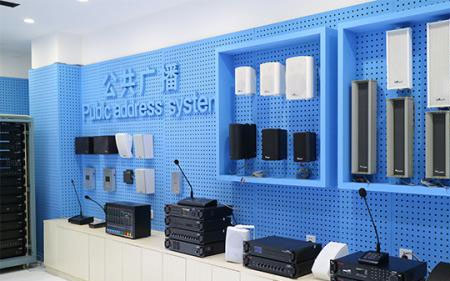 The development of public broadcasting systems