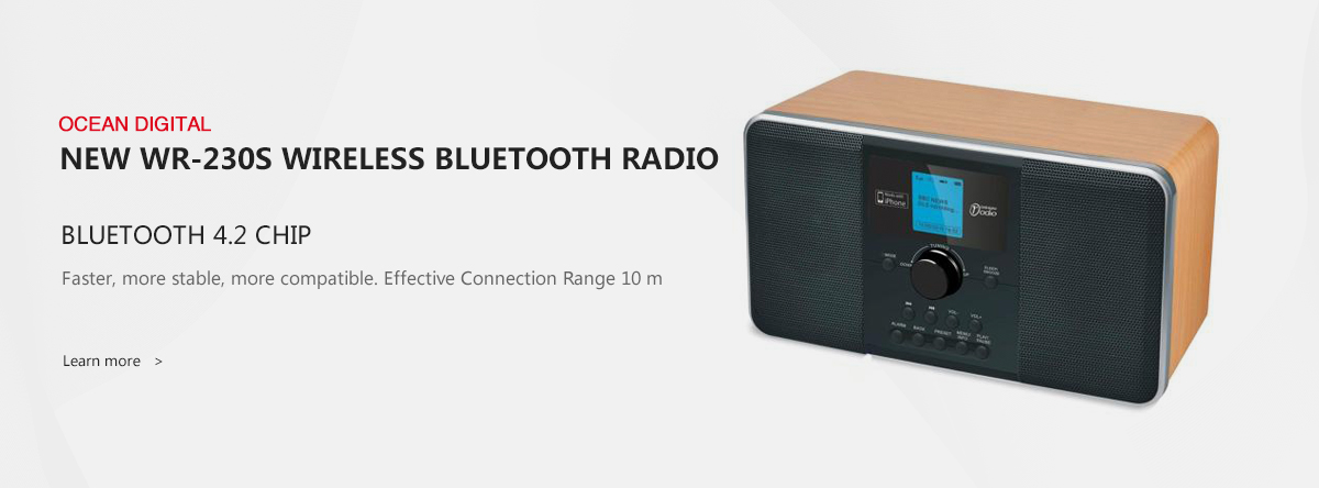 DAB+ digital Radio with USB player