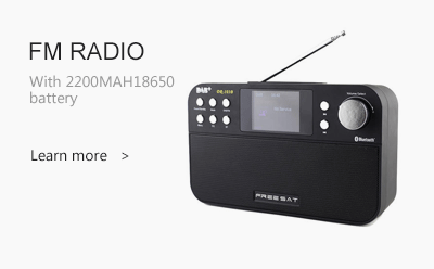 FREESAT DR-103 Portable Digital DAB+ / DVB / FM RDS radio Su